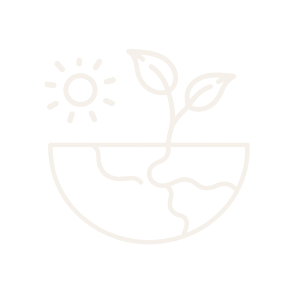 Bare Surf All Natural Sunscreen | Eco-Friendly